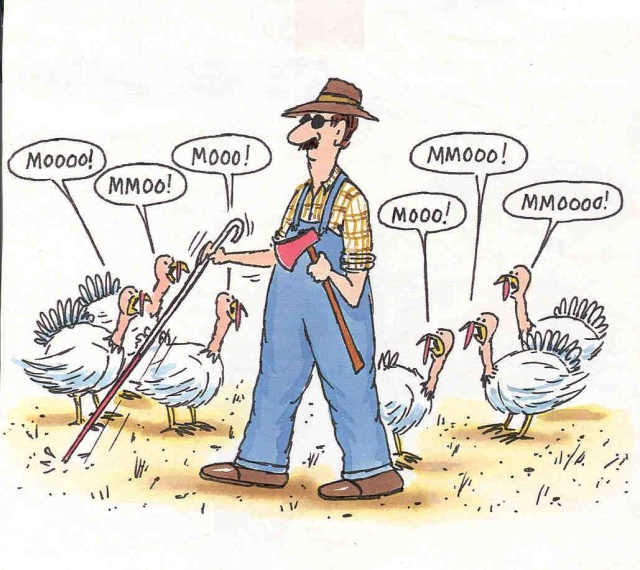 Funny Thanksgiving Image