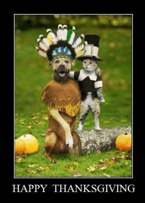 Pictures for Funny Thanksgiving